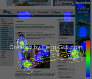 elektroniknet-feng-gui